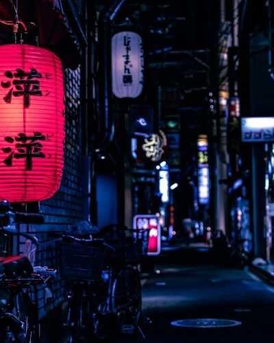 Japanese Indigo Kimono